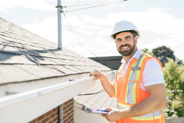 Best Flat Roof Repair Services  in Pierz, MN