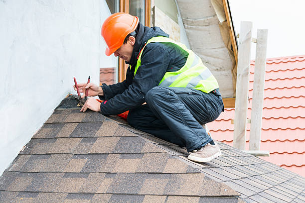 Best Roof Repair Services  in Pierz, MN
